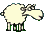 Hey, Sheep!!